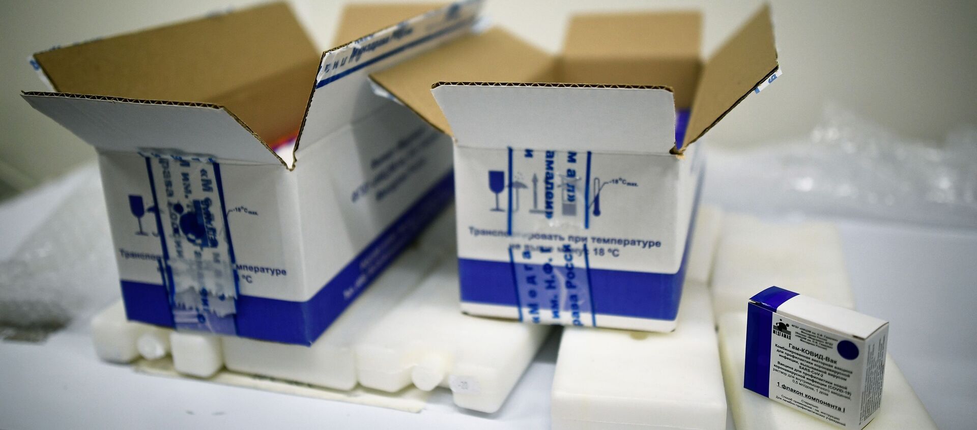 Des boîtes de vaccins Spoutnik V (GamCovidVac) au Centre Gamaleïa de Moscou - Sputnik Afrique, 1920, 22.02.2021