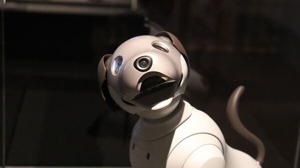 Un chien robot (image d'illustration) - Sputnik Afrique