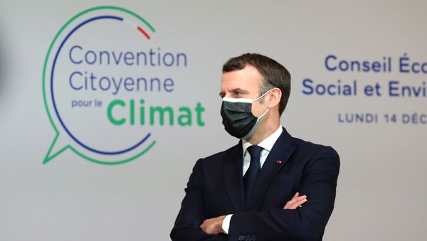 Emmanuel Macron lors d'une rencontre avec la Convention citoyenne pour le climat, le 14 décembre 2020 - Sputnik Afrique