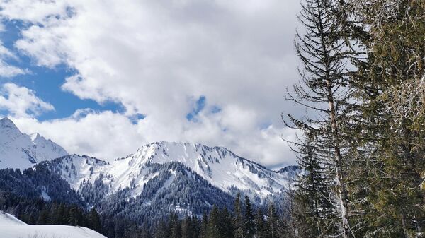  Saint-Jean D'aulps / image d'illustration - Sputnik Afrique