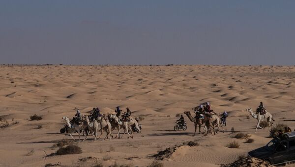 Le désert du Sahara, aux abords de la localité de Douz (Tunisie) - Sputnik Afrique