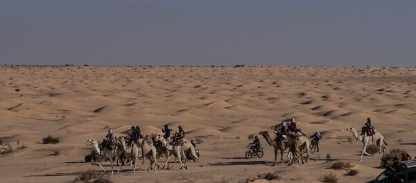 Le désert du Sahara, aux abords de la localité de Douz (Tunisie) - Sputnik Afrique