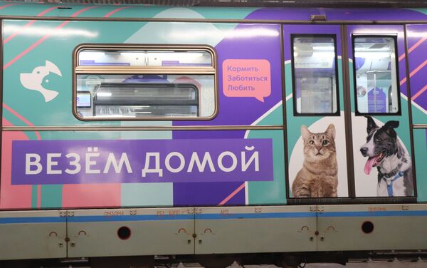 Le projet «Queues et Pattes» dans le métro de Moscou  - Sputnik Afrique