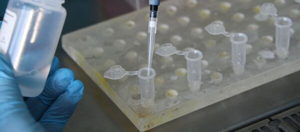 Centre national de recherche en virologie et biotechnologie Vektor - Sputnik Afrique