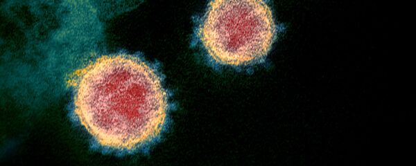 Coronavirus SARS-CoV-2 (photo d'archives) - Sputnik Afrique