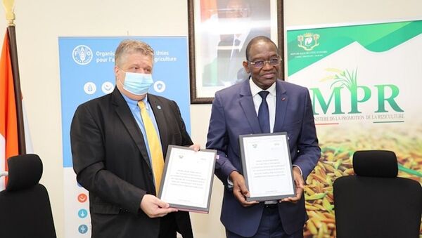 Le ministre ivoirien de la Promotion de la riziculture Gaoussou Touré et la FAO ont procédé à la signature d’une convention pour le développement des chaînes de valeur du riz. - Sputnik Afrique
