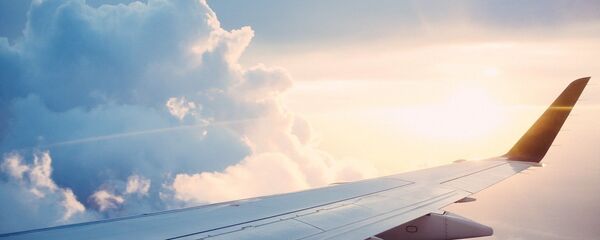 Un avion - Sputnik Afrique