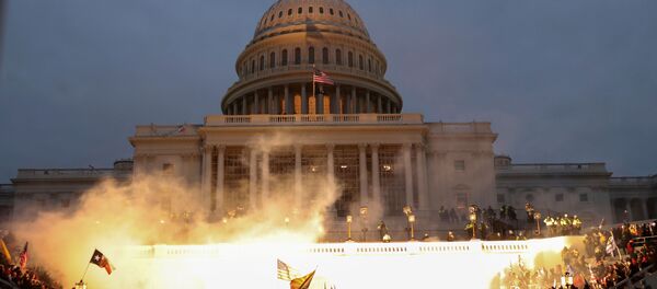 Les partisans du président américain Donald Trump se réunissent à Washington - Sputnik Afrique