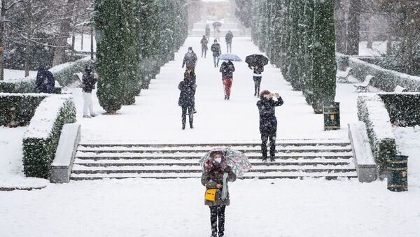 Chutes de neige à Madrid, le 8 janvier 2021 - Sputnik Afrique