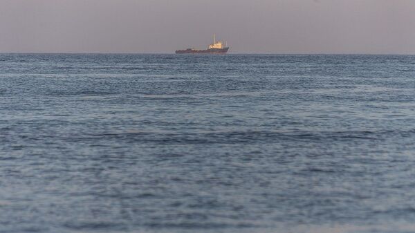 Un navire dans le golfe Persique - Sputnik Afrique