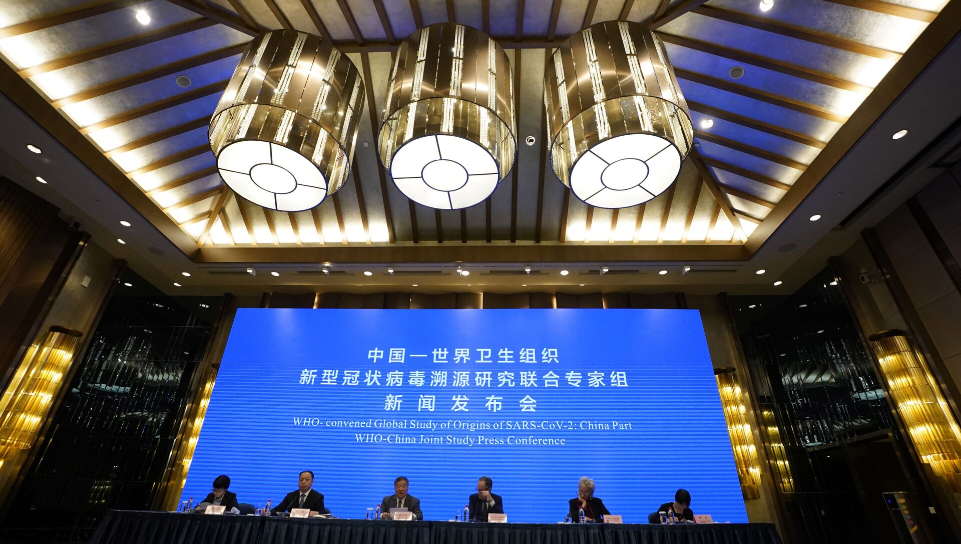 Une conférence de presse sur l'étude conjointe OMS-Chine se tient à la fin d'une mission visant à découvrir les origines de la pandémie - Sputnik Afrique, 1920, 14.05.2021