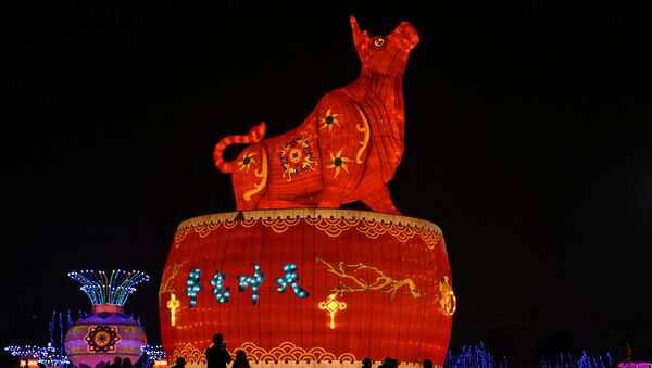 Décorations pour le Nouvel An lunaire en Chine, à Wuhan, 2021 - Sputnik Afrique