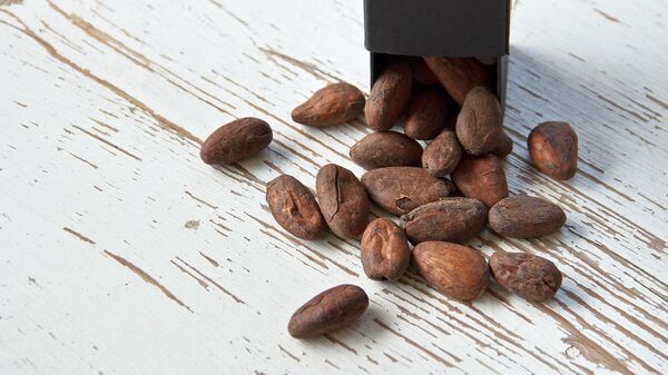 Des fèves de cacao - Sputnik Afrique