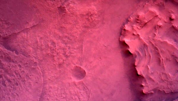 Promenade sur Mars: le rover Perseverance a envoyé les premières photos en couleur de sa «maison» - Sputnik Afrique
