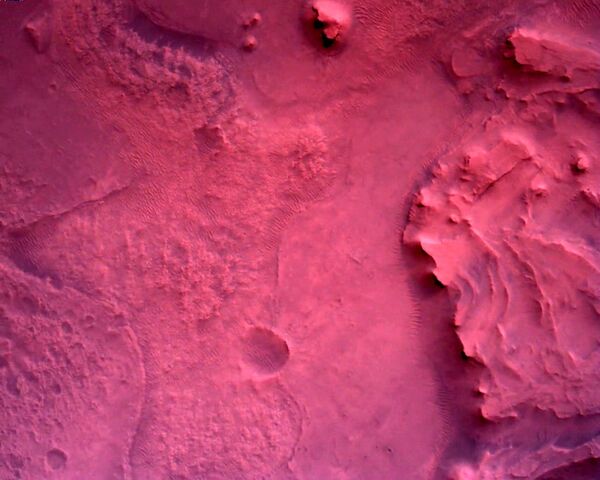 La surface de Mars directement sous le rover Perseverance. L’image prise à l'aide de la caméra Rover Down-Look de l’appareil. - Sputnik Afrique