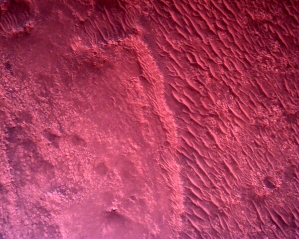 La surface de Mars, de couleur rose, filmée par la caméra Rover Down-Look. - Sputnik Afrique