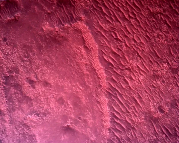 La surface de Mars, de couleur rose, filmée par la caméra Rover Down-Look. - Sputnik Afrique