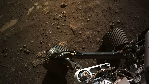 Le rover Perseverance sur Mars  - Sputnik Afrique