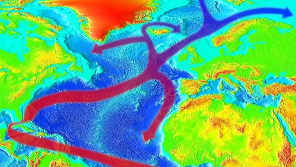 Le Gulf Stream - Sputnik Afrique