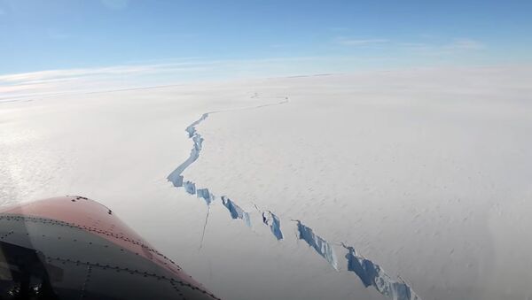 Un iceberg qui s'est détaché de la plateforme de glace de Brunt  - Sputnik Afrique