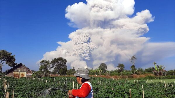 Une spectaculaire éruption du Sinabung en Indonésie
 - Sputnik Afrique