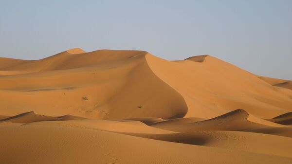 Le désert du Sahara (image d'illustration) - Sputnik Afrique