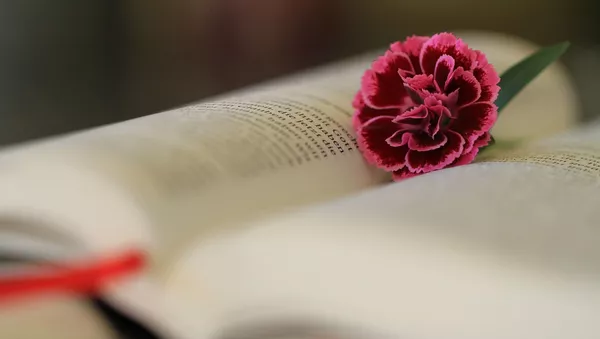 Une fleur sur une page de la Bible ouverte - Sputnik Afrique