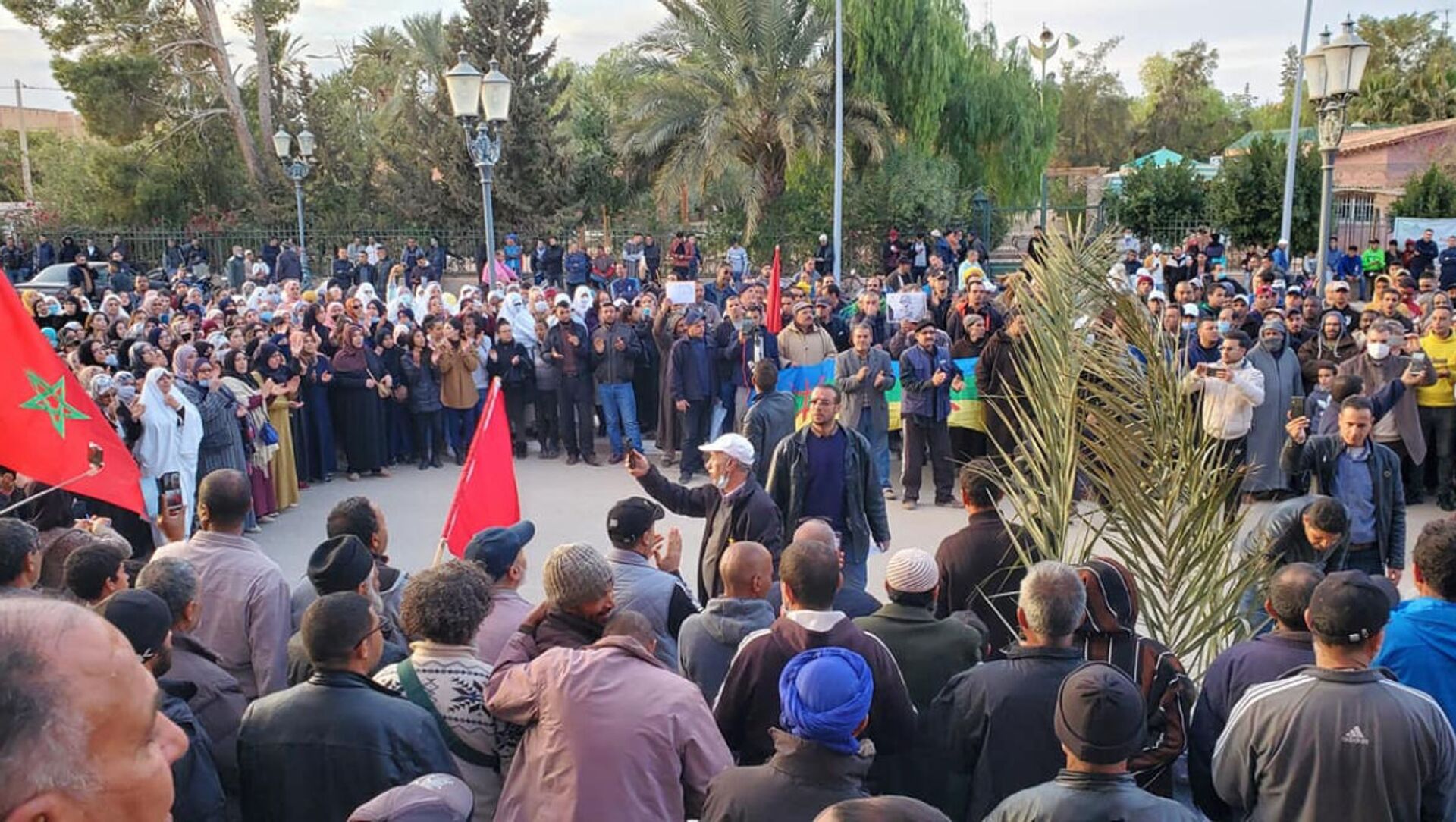 Des vues de la marche et du sit-in qui s’en est suivi, jeudi 18 mars à Figuig, à l'extrême-est du Maroc. - Sputnik Afrique, 1920, 29.03.2021