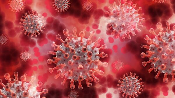 Coronavirus, image d'illustration  - Sputnik Afrique
