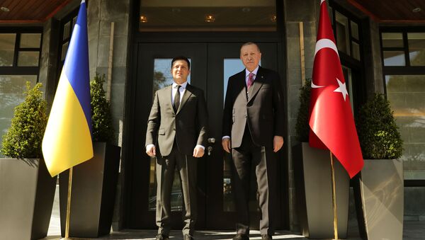 Recep Tayyip Erdoğan rencontre Volodymyr Zelenskiy à Istanbul - Sputnik Afrique