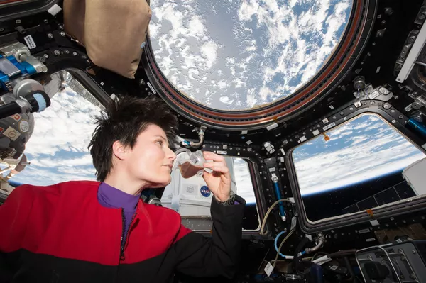 Pizza, glace, salade: que mange-t-on à bord de l'ISS? - Sputnik Afrique