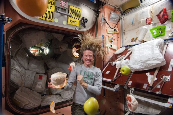Pizza, glace, salade: que mange-t-on à bord de l'ISS? - Sputnik Afrique