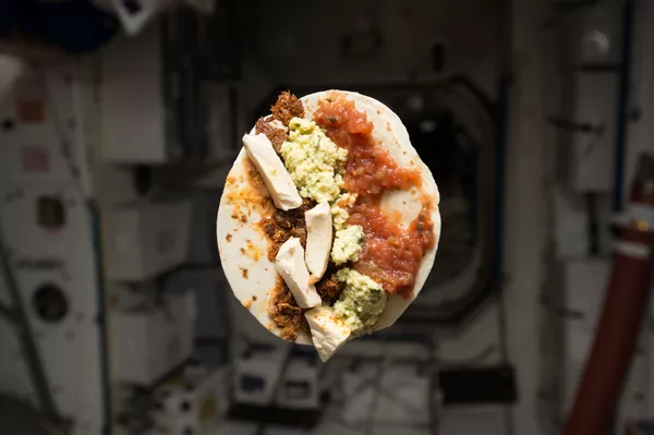 Pizza, glace, salade: que mange-t-on à bord de l'ISS? - Sputnik Afrique