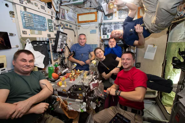Pizza, glace, salade: que mange-t-on à bord de l'ISS? - Sputnik Afrique