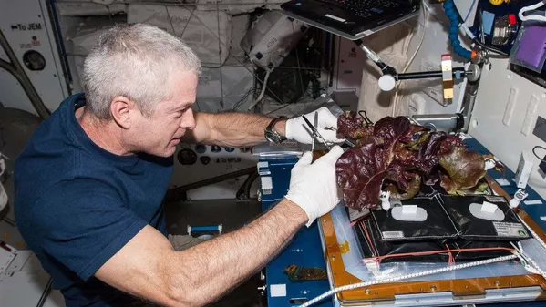 Pizza, glace, salade: que mange-t-on à bord de l'ISS? - Sputnik Afrique