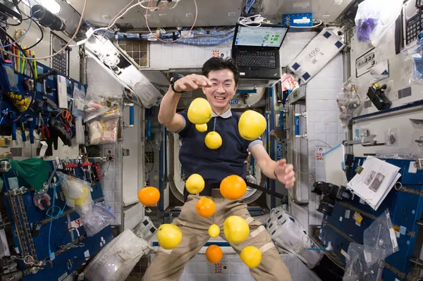 Pizza, glace, salade: que mange-t-on à bord de l'ISS? - Sputnik Afrique