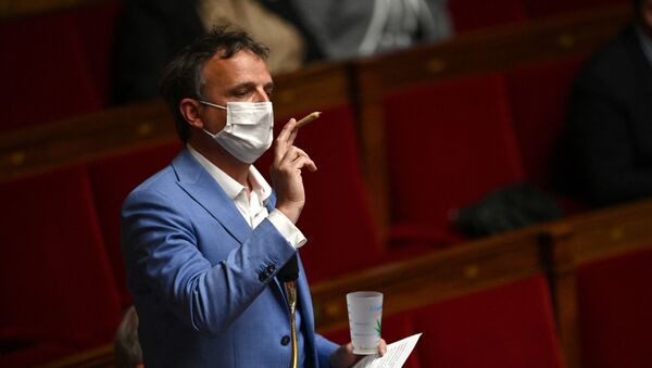 Le député Francois-Michel Lambert brandit un joint devant l'Assemblée nationale  - Sputnik Afrique