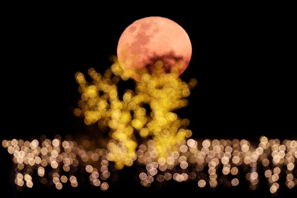 Super Lune des fleurs et éclipse lunaire au-dessus des villes du monde

 - Sputnik Afrique