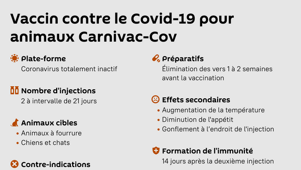 Vaccin contre le Covid-19 pour animaux Carnivac Cov - Sputnik Afrique