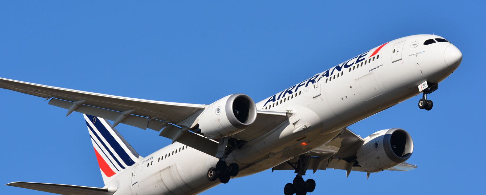 Un Boeing 787-900 Dreamliner d'Air France - Sputnik Afrique, 1920, 11.08.2023