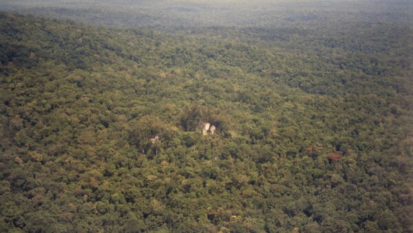 Forêt tropicale, Nouvelle-Guinée - Sputnik Afrique