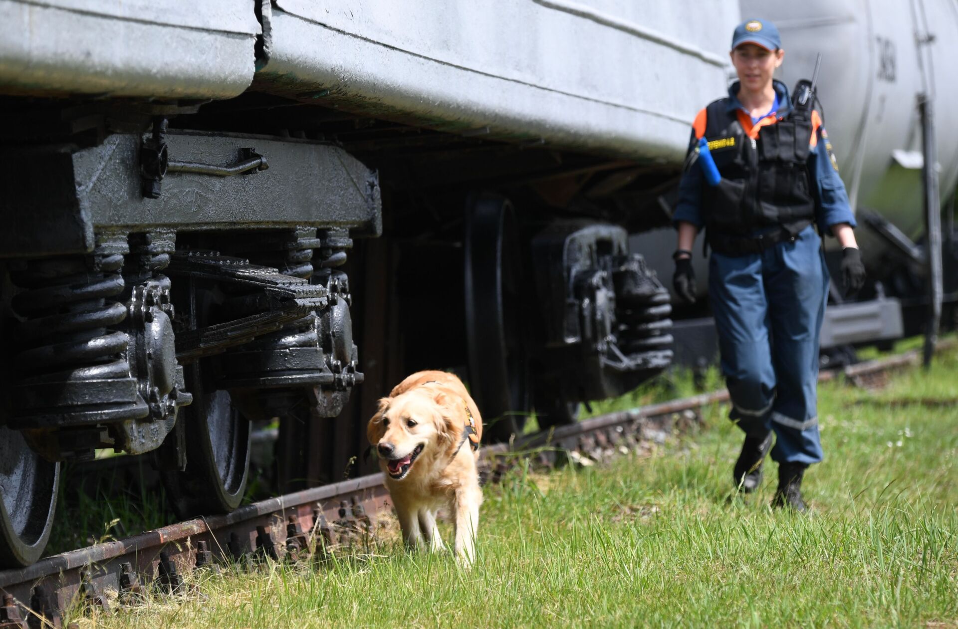 Explosifs sous un train et survivant sous les décombres: ce que savent faire les chiens de sauvetage russes  - Sputnik Afrique, 1920, 17.06.2021