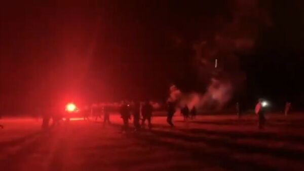 Rave party en Bretagne en hommage à Steve - Sputnik Afrique