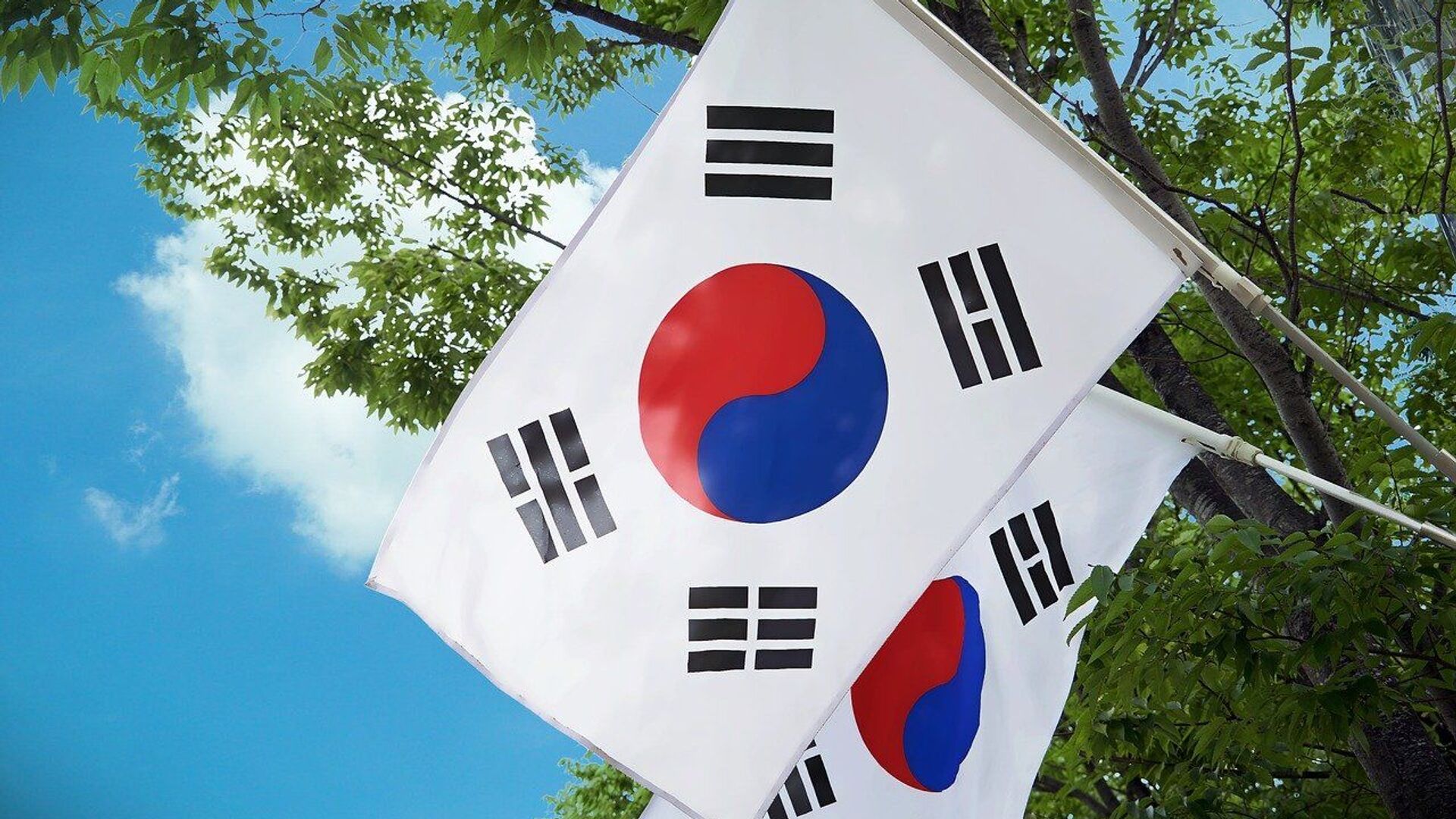 Drapeaux de la Corée du Sud - Sputnik Afrique, 1920, 13.08.2021