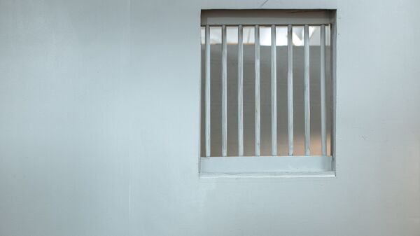 Prison (image d'illustration) - Sputnik Afrique