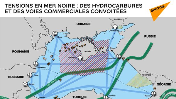 Tensions en Mer noire : des hydrocarbures et des voies commerciales convoitées  - Sputnik Afrique