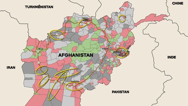 Afghanistan: profitant du retrait occidental, les talibans gagnent du terrain  - Sputnik Afrique