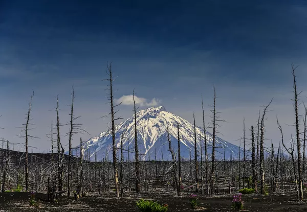 Du «coucher de soleil sur la Moskova» à la «forêt morte» au Kamtchatka: les plus beaux paysages russes
Du «coucher de soleil sur la Moskova» à la «forêt morte» au Kamtchatka: les plus beaux paysages russes
- Sputnik Afrique