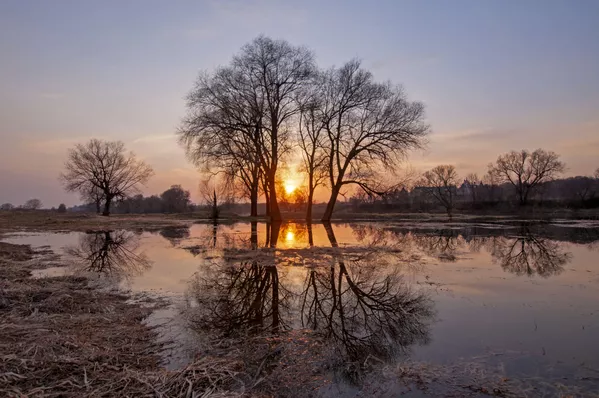 Du «coucher de soleil sur la Moskova» à la «forêt morte» au Kamtchatka: les plus beaux paysages russes
Du «coucher de soleil sur la Moskova» à la «forêt morte» au Kamtchatka: les plus beaux paysages russes
- Sputnik Afrique