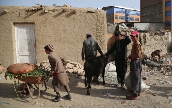 Afghanistan: les réfugiés fuient la zone des combats

 - Sputnik Afrique